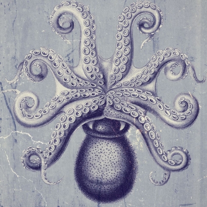 Picture of OCTOPUS II