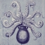 Picture of OCTOPUS II