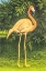 Picture of NICE LEGS