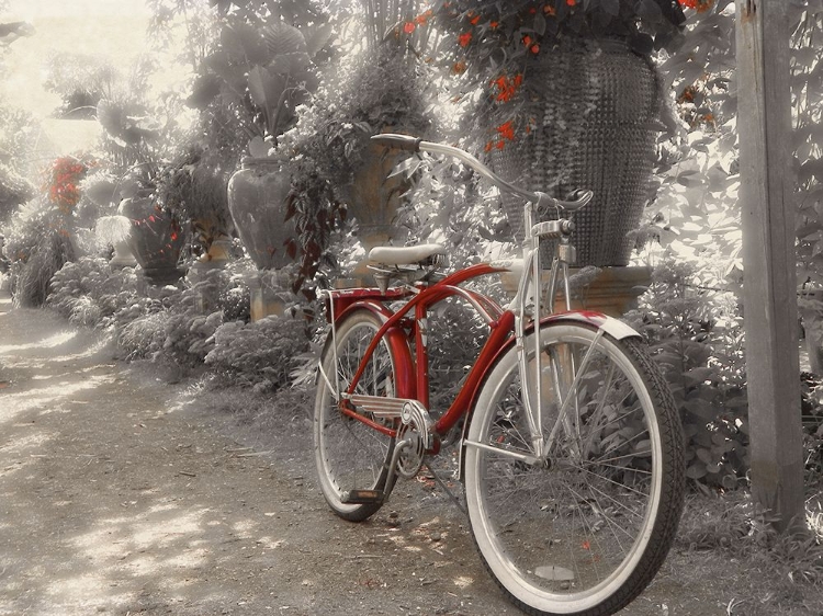 Picture of GARDEN BIKE