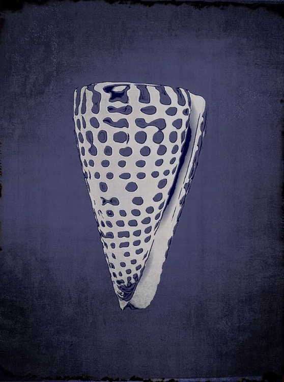 Picture of CONE IN INDIGO