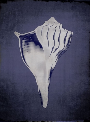 Picture of LIGHTENING WHELK IN INDIGO