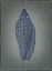 Picture of JUNONIA IN GRAY GREEN