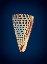 Picture of CONE ON BLUE
