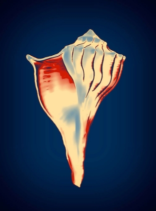 Picture of LIGHTENING WHELK ON BLUE