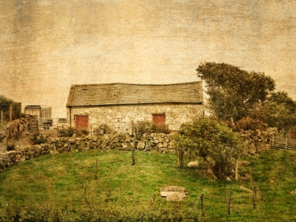 Picture of IRISH COTTAGE