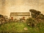 Picture of IRISH COTTAGE