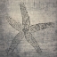 Picture of LOVE STARFISH