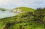 Picture of STONEWALLED IN IRELAND