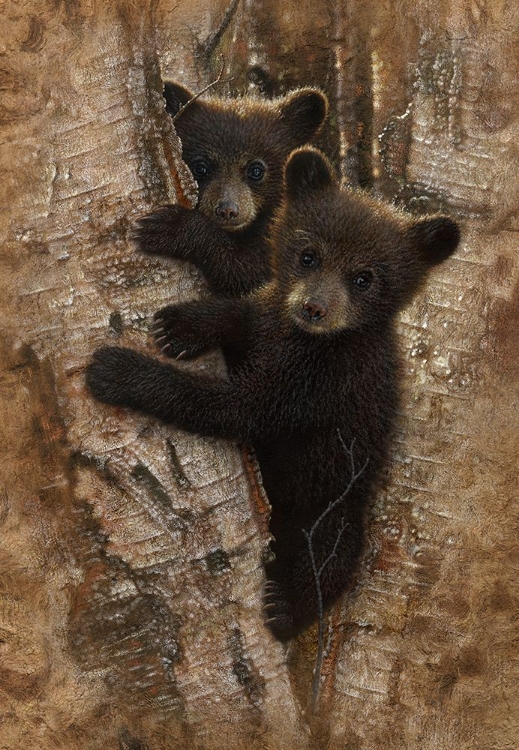 Picture of CURIOUS CUBS