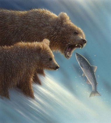 Picture of BROWN BEARS - FISHING LESSON