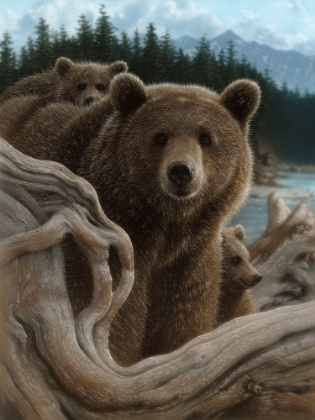 Picture of BROWN BEARS - BACKPACKING