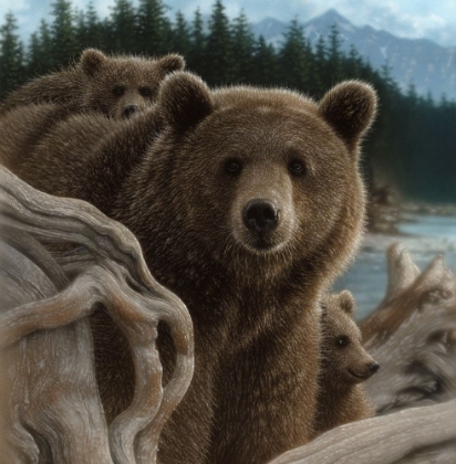 Picture of BROWN BEARS - BACKPACKING - SQUARE