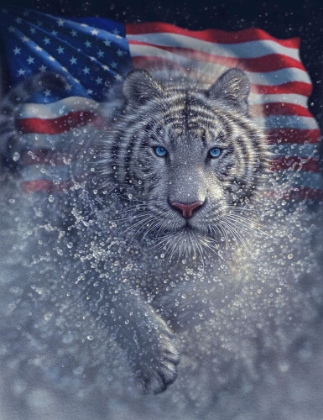 Picture of WHITE TIGER AMERICA