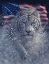 Picture of WHITE TIGER AMERICA