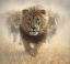 Picture of EAT MY DUST