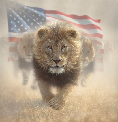 Picture of RUNNING LIONS AMERICA
