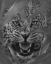 Picture of JAGUAR - AMBUSH - BANDW