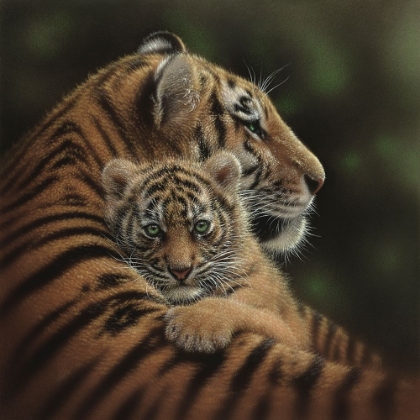 Picture of TIGER MOTHER AND CUB - CHERISHED
