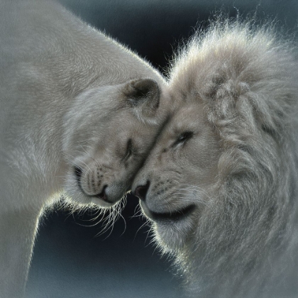 Picture of WHITE LION LOVE