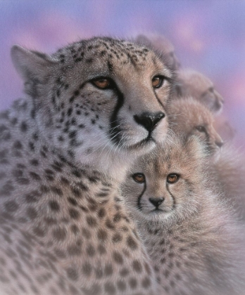 Picture of CHEETAH MOTHER AND CUBS - MOTHERS LOVE