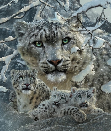 Picture of SNOW LEOPARD COLLAGE