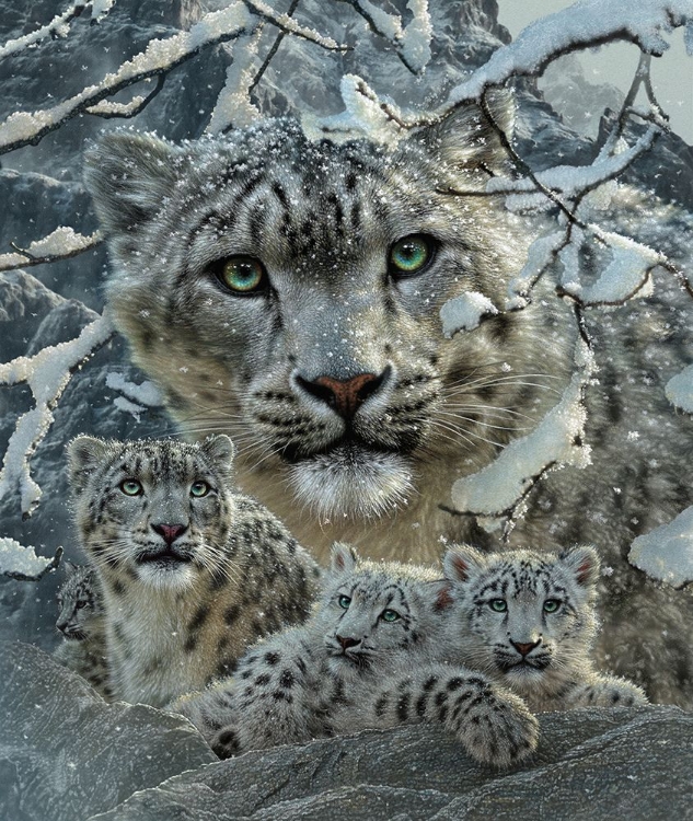 Picture of SNOW LEOPARD COLLAGE