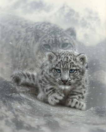 Picture of SNOW LEOPARD FIRST STEPS
