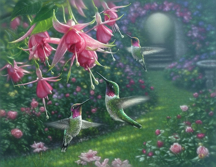 Picture of HUMMINGBIRD HAVEN