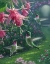 Picture of HUMMINGBIRD HAVEN - SQUARE