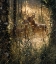 Picture of WHITETAIL DEER - A GOLDEN MOMENT
