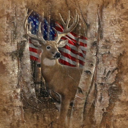 Picture of WHITETAIL BUCK AMERICA