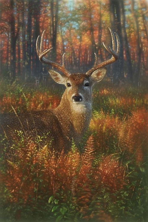 Picture of AUTUMN BUCK
