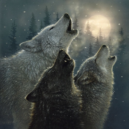 Picture of HOWLING WOLVES - IN HARMONY