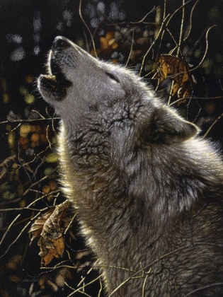 Picture of HOWLING WOLF - SONGS OF AUTUMN