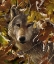 Picture of WOLF - AUTUMN SHADOWS