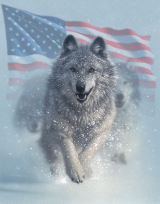 Picture of RUNNING WOLVES AMERICA