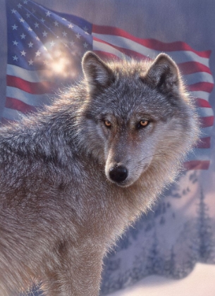 Picture of LONE WOLF AMERICA