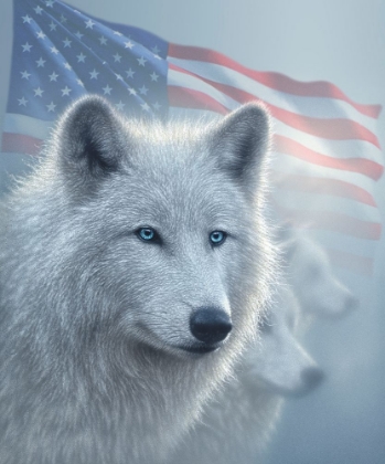 Picture of ARCTIC WOLVES AMERICA