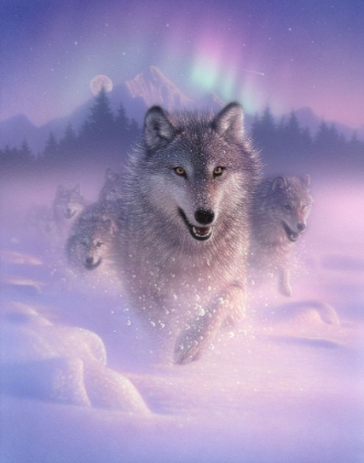 Picture of RUNNING WOLVES - NORTHERN LIGHTS - SQUARE