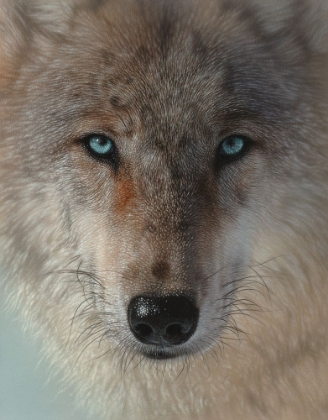 Picture of INNER WOLF