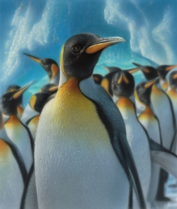 Picture of PENGUIN PARADISE - SQUARE