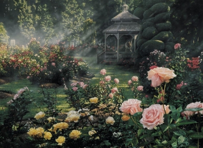 Picture of ROSE GARDEN - PARADISE FOUND