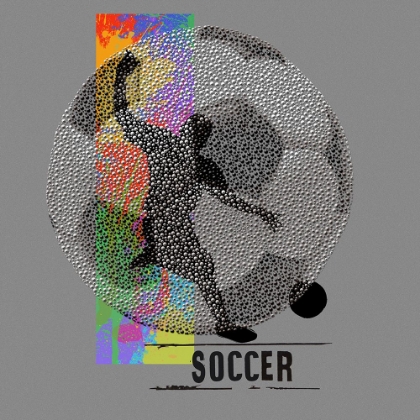 Picture of SOCCER