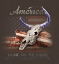 Picture of AMERICA