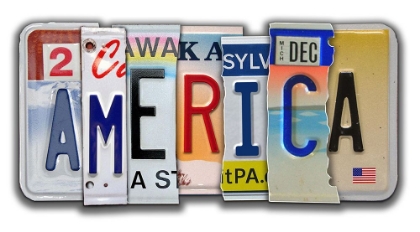 Picture of AMERICA LICENSE PLATE