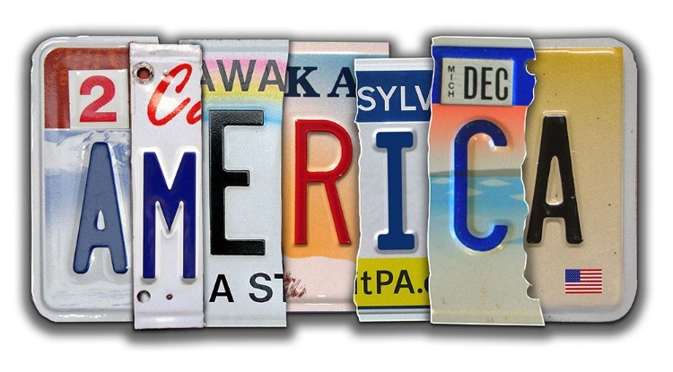 Picture of AMERICA LICENSE PLATE