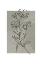Picture of SAGE FLORAL