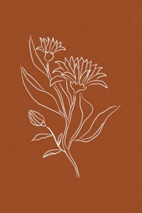 Picture of ORANGE FLOWER
