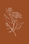 Picture of ORANGE FLOWER